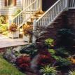 Landscape Plant Bed