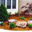 Landscape Plant Bed Tree