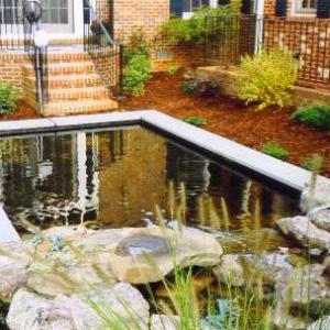 Pond and Waterfall After
