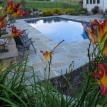 Pool planting